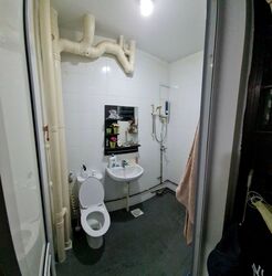 Blk 234 Tampines Street 21 (Tampines), HDB 3 Rooms #378144941